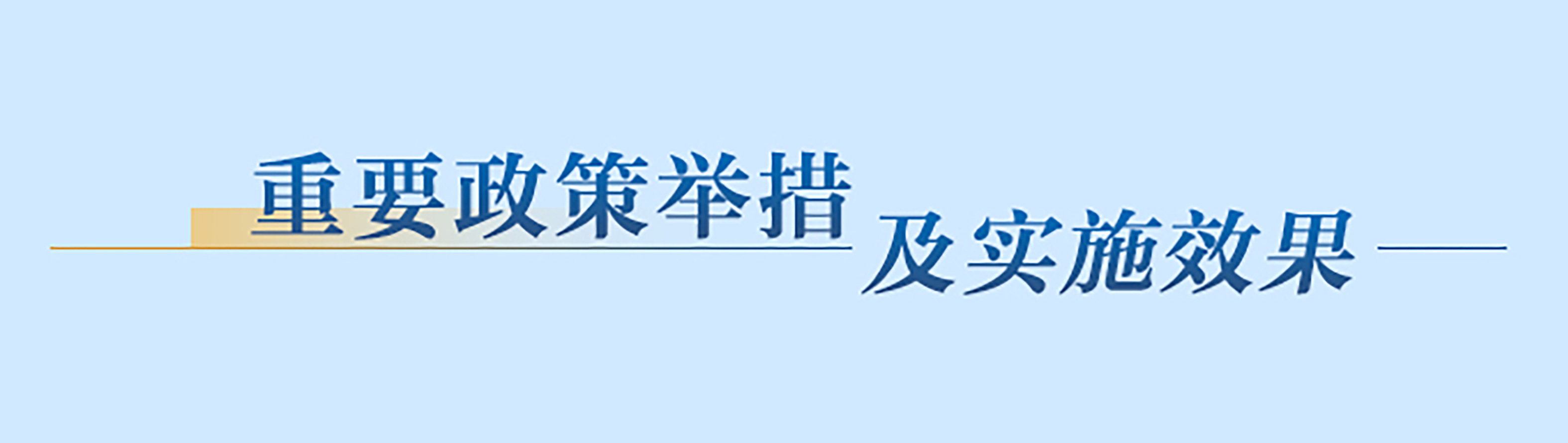 重要政策舉措及實施效果